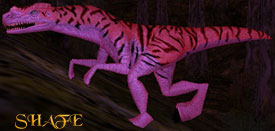 A Tigesarous in Wakening Land