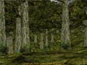 Scenery in Wakening Land