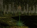 Scenery in Wakening Land