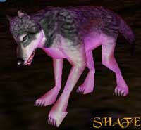 a Gale Wolf