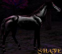 Rolling Plains Steed