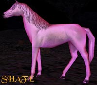Rolling Plains Steed