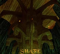 Wisp lights in Tunare's Tree